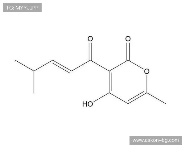 探索k8凯发官方网站入口的最新动态与优惠活动信息
